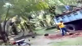 Qishloqdagi bir braziliyalik otni katta mushukda sikdi