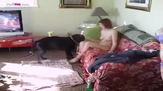 Ит менен группалык аналдык секс