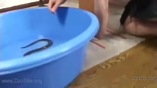 Духтари қазоқ бо моҳӣ дар кисаи калонаш