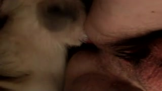 Жабайы адам итті аналда трахает еткендей, хайуанаттар бағының сексуалдық көрінісін қараңыз