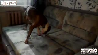 Qo'shnining qizini mushuk ichida katta it qattiq sikadi
