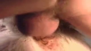 Бибии пир бӯсаи бузро мебӯсад ва шавҳараш ӯро дар хараш сахт трахатер мекунад