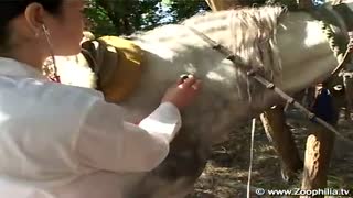 Гурӯҳи ваҳшиёнаи зоопарк порнографияи ду духтар ва як асп